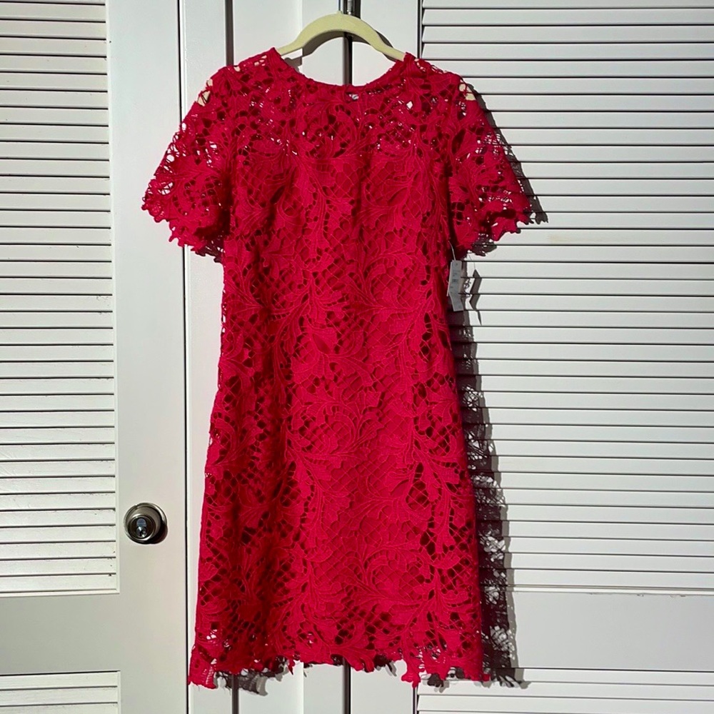 Pink Lace Scallop Hem Detail Dress NWT